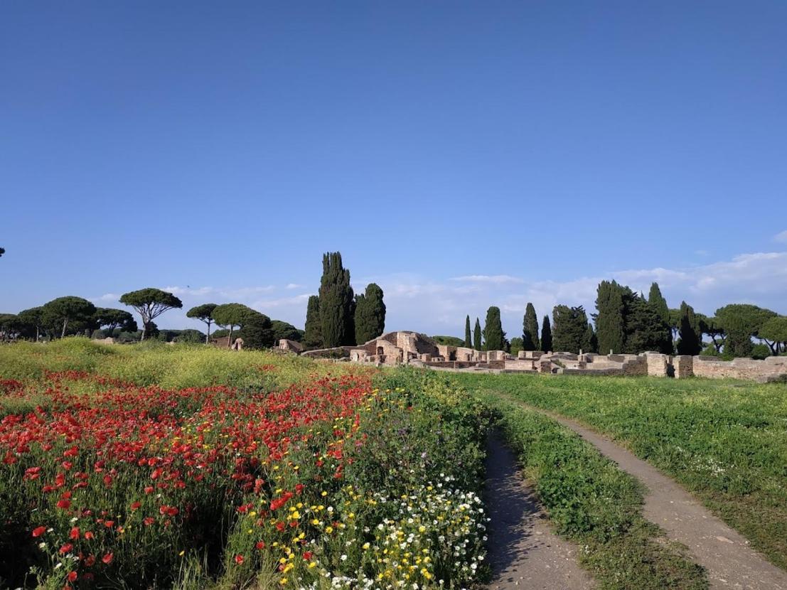 Le Cicale Villa Casal Palocco Kültér fotó